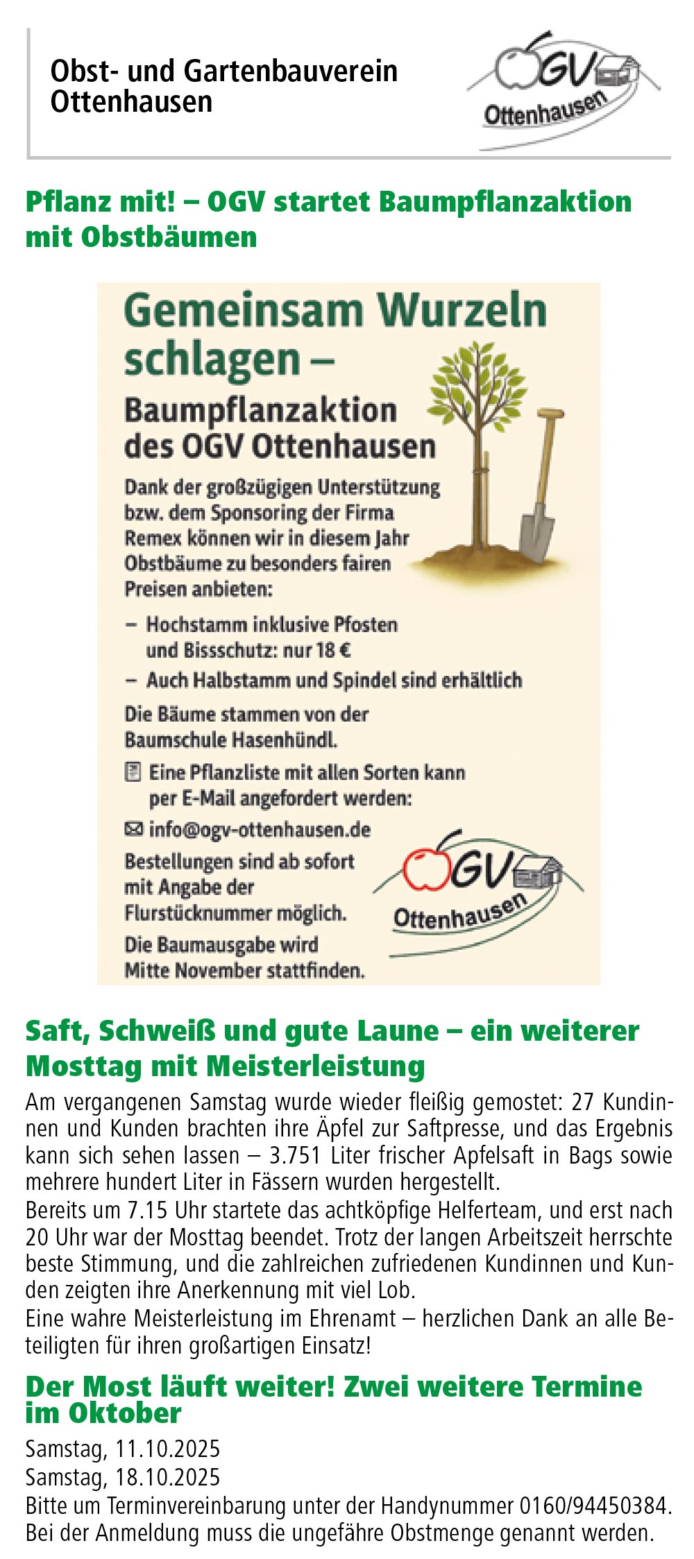 251010 KW41 Amtsblatt