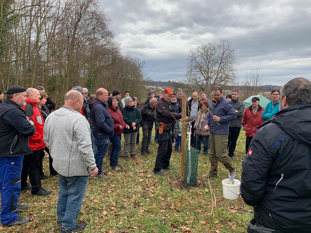 OGV Schnittkurs OGV Schnittkurs