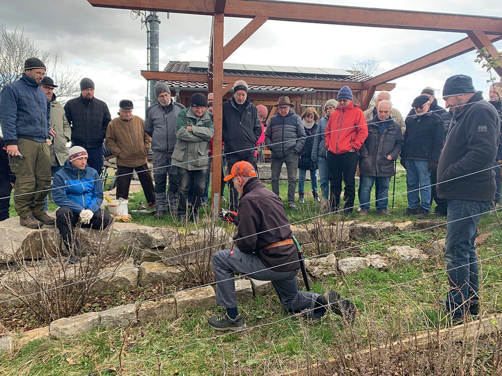 OGV Schnittkurs OGV Schnittkurs