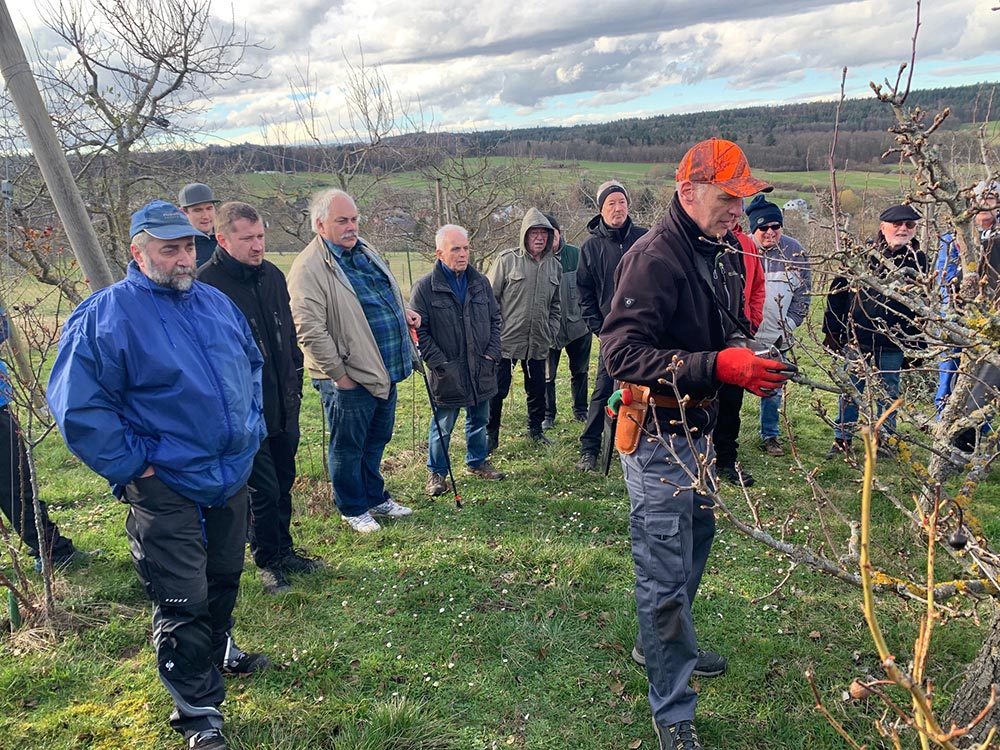 OGV Schnittkurs OGV Schnittkurs