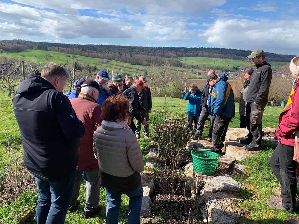 OGV Schnittkurs OGV Schnittkurs