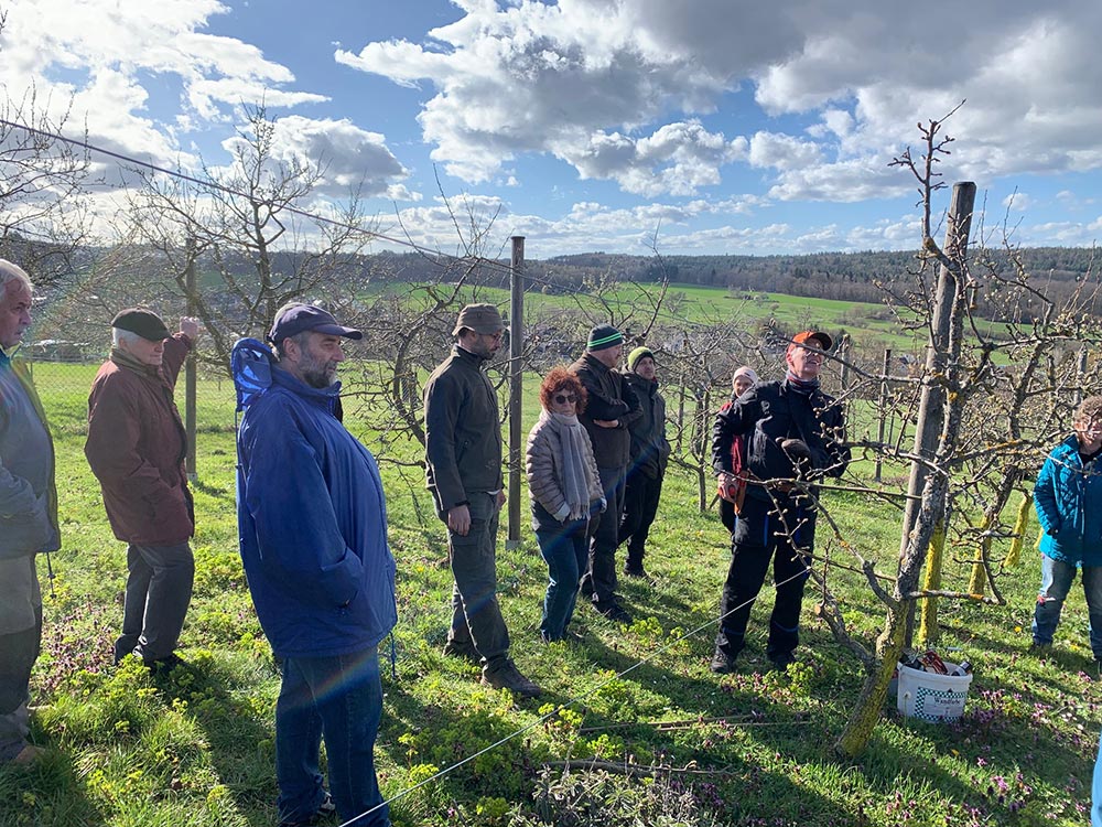 OGV Schnittkurs OGV Schnittkurs